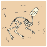 Body Fossil Picture