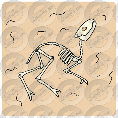 Body Fossil Picture