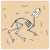 bones