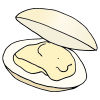 quahog+clam Picture