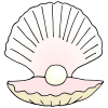 clam Picture