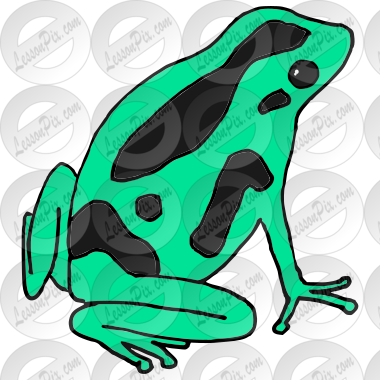 Frog Picture