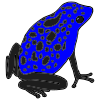 The+blue+frog Picture
