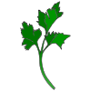 1-1/2 teaspoons Dill weed