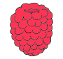 Raspberry Picture