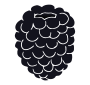 Blackberry Stencil