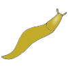 slug Picture