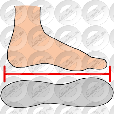 Shoe Size  Picture