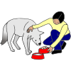 feeding the dog