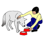 Feed Dog
