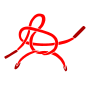 Tie Shoelace
