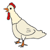 The rooster is crowing.