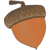 seed Picture