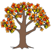 The+tree_s+leaves+turn+orange_+and+red_+and+brown. Picture
