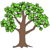 The+tree+has+green+leaves. Picture