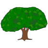 Oak+tree Picture