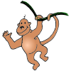Mm++++monkey Picture