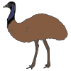 I+see+an+emu. Picture