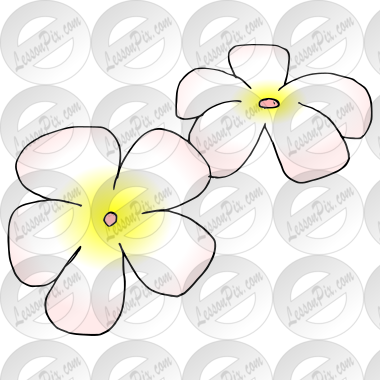 Hawaiian Flowers  Picture