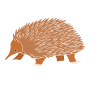 Spiny Anteaters