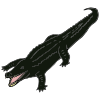gator Picture