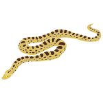Snake Stencil