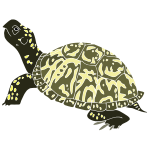 Turtle Stencil