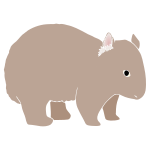 Wombat Stencil