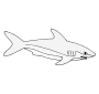 White Shark