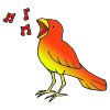 colorful birds