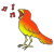 bird
