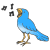 bird