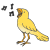 bird