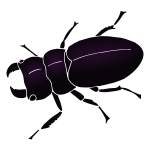 Beetle Stencil