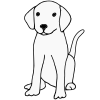 White Dog