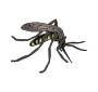 Mosquito Picture