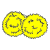 Pom