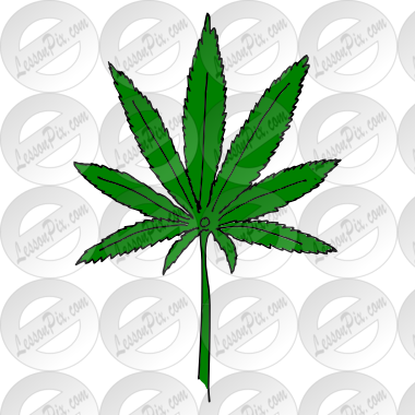 Marijuana Picture