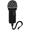 mic Picture