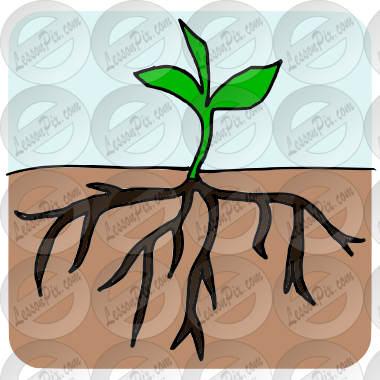 Roots Picture for Classroom / Therapy Use - Great Roots Clipart