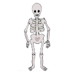 Skeleton Picture