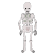 bones