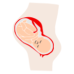 Pregnancy Stencil