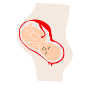 Pregnancy Stencil