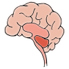 Brain in the Group