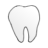 Then I will get a new tooth.