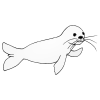 Harp Seal
Baby seals are born on pack ice floating in the North Atlantic and Arctic,