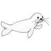 like+a+seal Picture