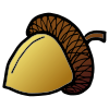 a-a-acorn Picture