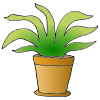 Plant Picture